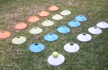 Optus discs laid out on the diagonal